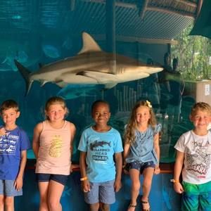 Meet your Posher, Miranda